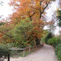 Geografisches Arboretum Rombergpark am 17,102018 (48)